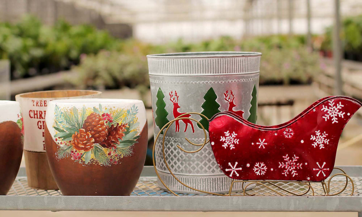 Christmas Planters