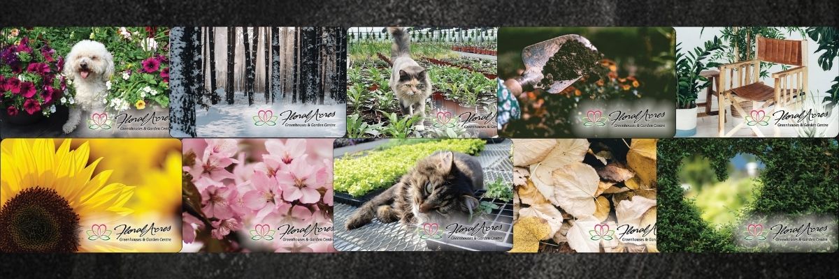 Gift Cards - Floral Acres Greenhouse & Garden Centre