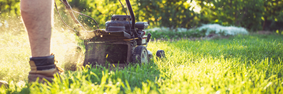 Lawn Essentials