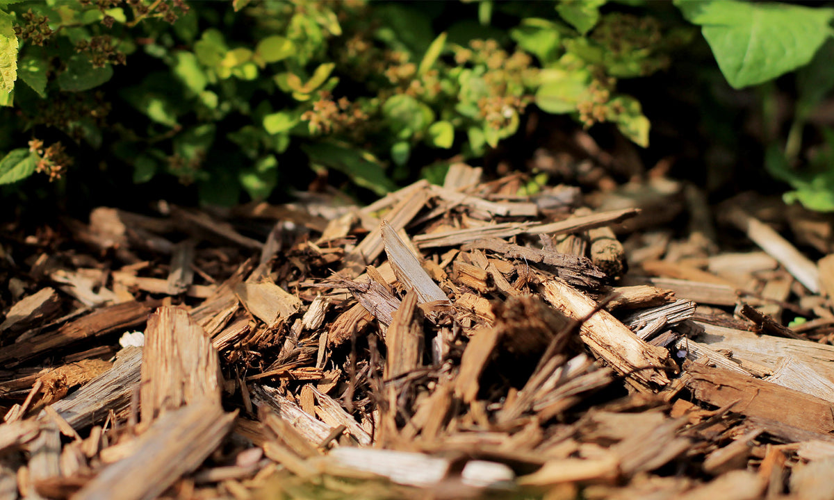 Mulch