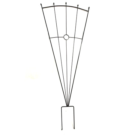 Fan Circle Trellis, Metal, Black, 72x30in