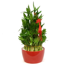 Load image into Gallery viewer, Bamboo Planter, Lucky Pagoda, 5-Tier
