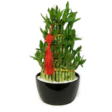 Load image into Gallery viewer, Bamboo Planter, Lucky Pagoda, 5-Tier
