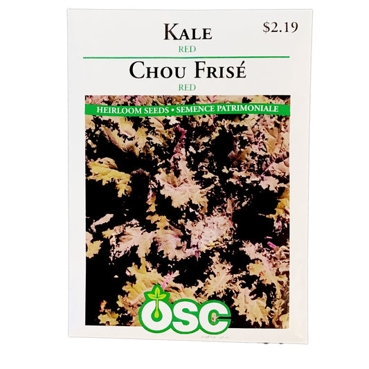 Kale - Red Russian Seeds, OSC