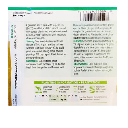 Corn - Sweetness Seeds, OSC Large Pack