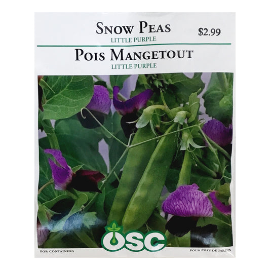 Pea - Little Snow Pea Purple Seeds, OSC Large Pack