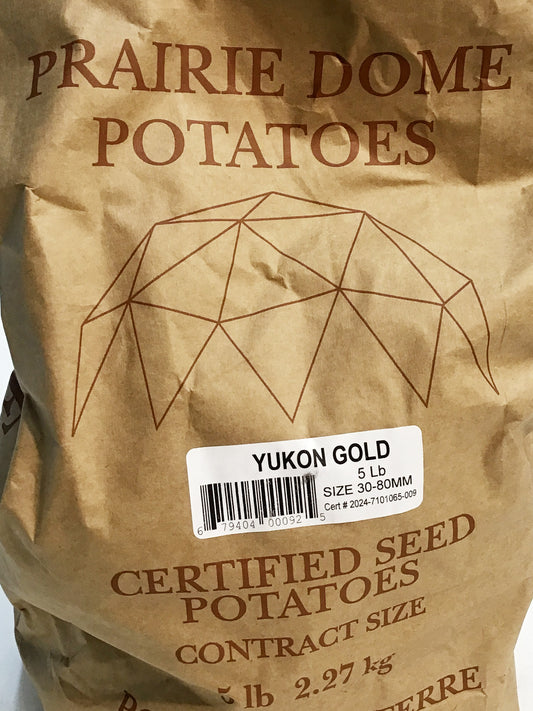 Seed Potato - Yukon Gold, 5lb Bag