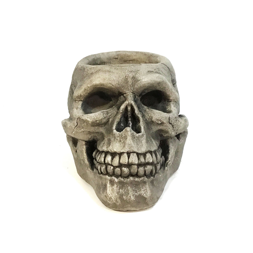 Skull Cement Planter