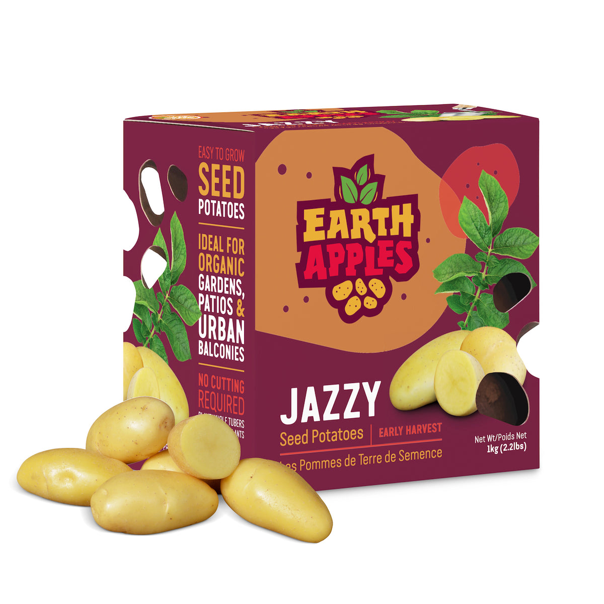 Seed Potato - Jazzy, Earth Apples, 1kg Box