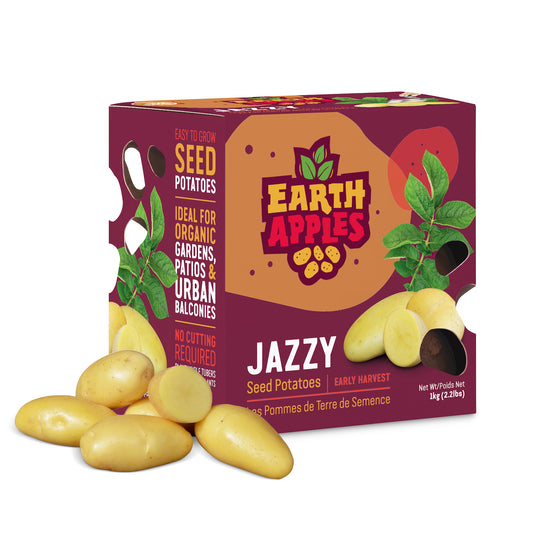 Seed Potato - Jazzy, Earth Apples, 1kg Box
