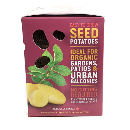 Seed Potato - Jazzy, Earth Apples, 1kg Box
