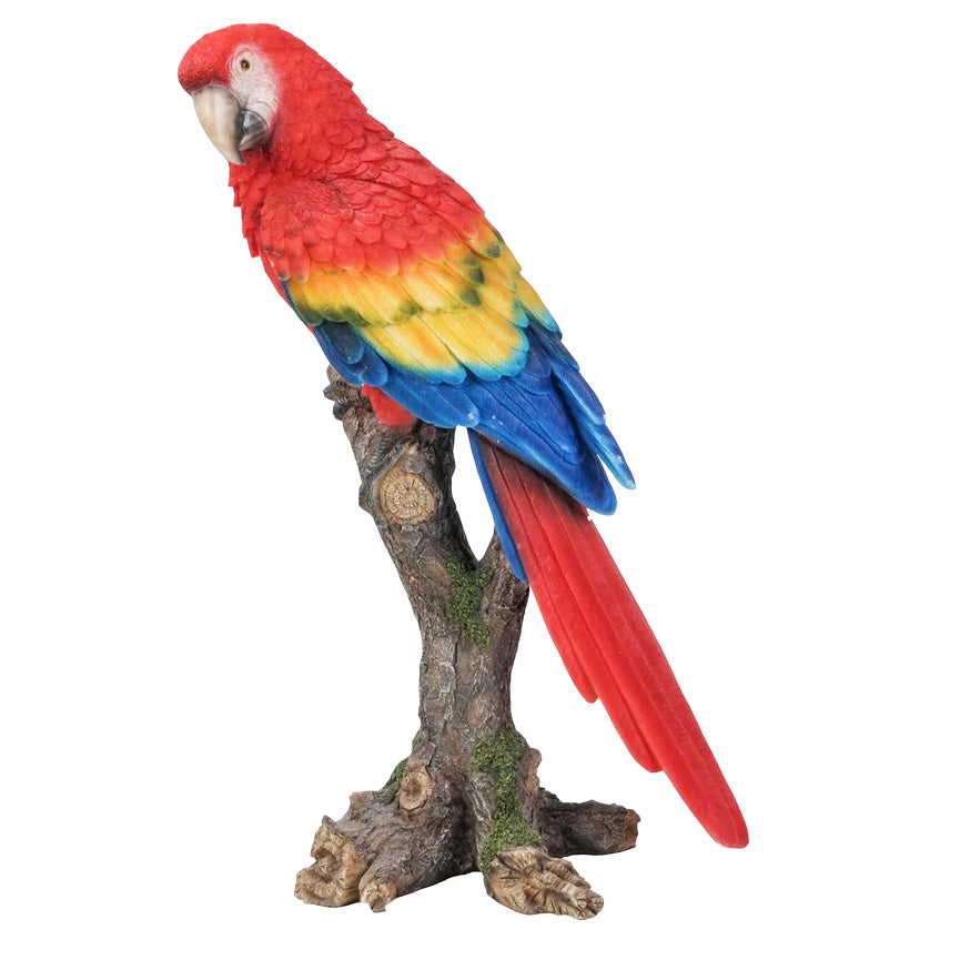 Scarlet Parrot on a Branch Garden Statue, 15in