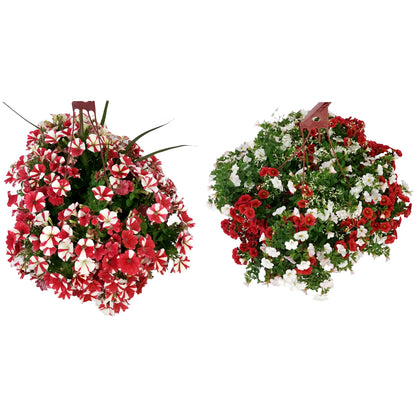 Hanging Basket, 12in, Canada Day, Assorted