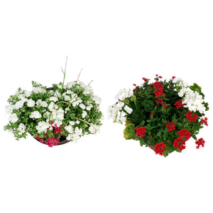 Planter, 12in, Canada Day, Assorted