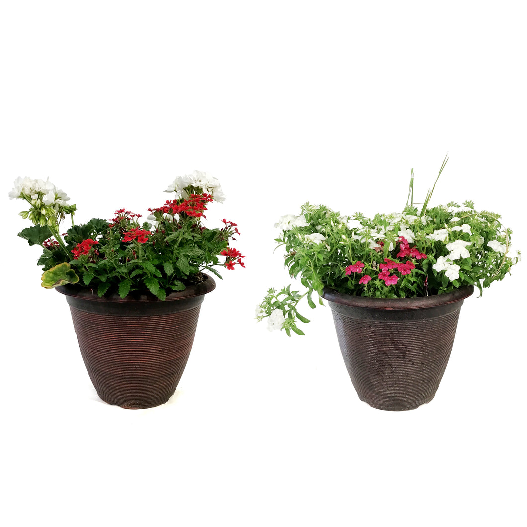 Planter, 12in, Canada Day, Assorted