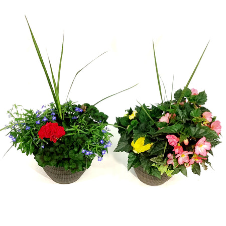 Planter, 12in, Spring Combo, Assorted