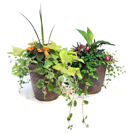 Planter, 14in, Spring Combo, Assorted