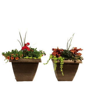 Planter, 15in, Spring Combo, Assorted