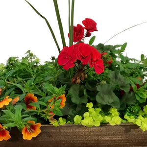 Planter, 15in, Spring Combo, Assorted