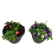 Load image into Gallery viewer, Planter, 16in, Spring Combo, Assorted
