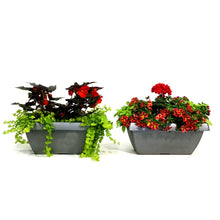 Load image into Gallery viewer, Window Box, 16in, Planter, Assorted
