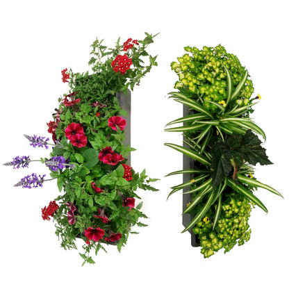 Window Box, 24in,Planter, Assorted