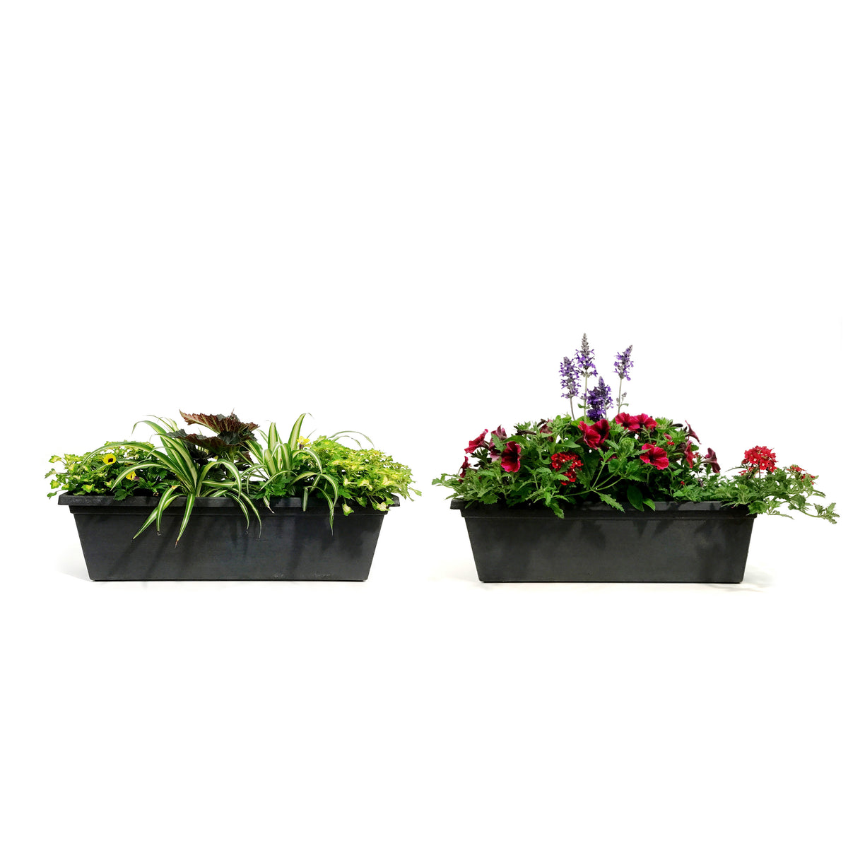 Window Box, 24in,Planter, Assorted