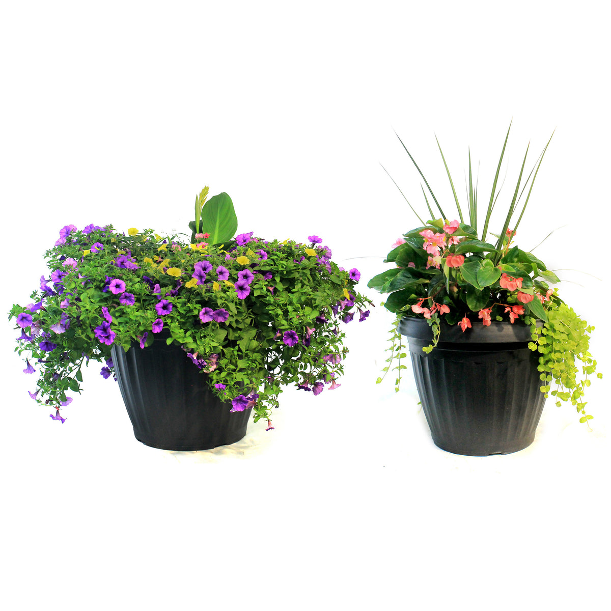 Planter, 22in, Spring Combo, Assorted