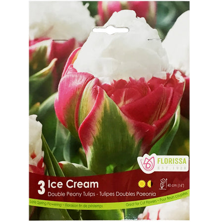 Tulip, Novelty - Ice Cream Bulbs, 3 Pack