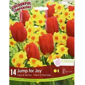 Colourful Companions - Jump for Joy Bulbs, 12 Pack