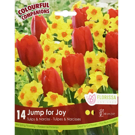 Colourful Companions - Jump for Joy Bulbs, 12 Pack