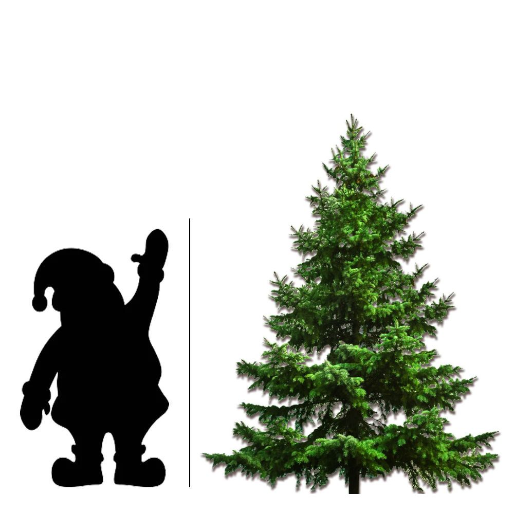 Christmas Tree, 7-8ft, Fraser Fir