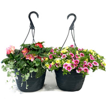 Load image into Gallery viewer, Hanging Basket, 10in, Summer Combo, Assorted
