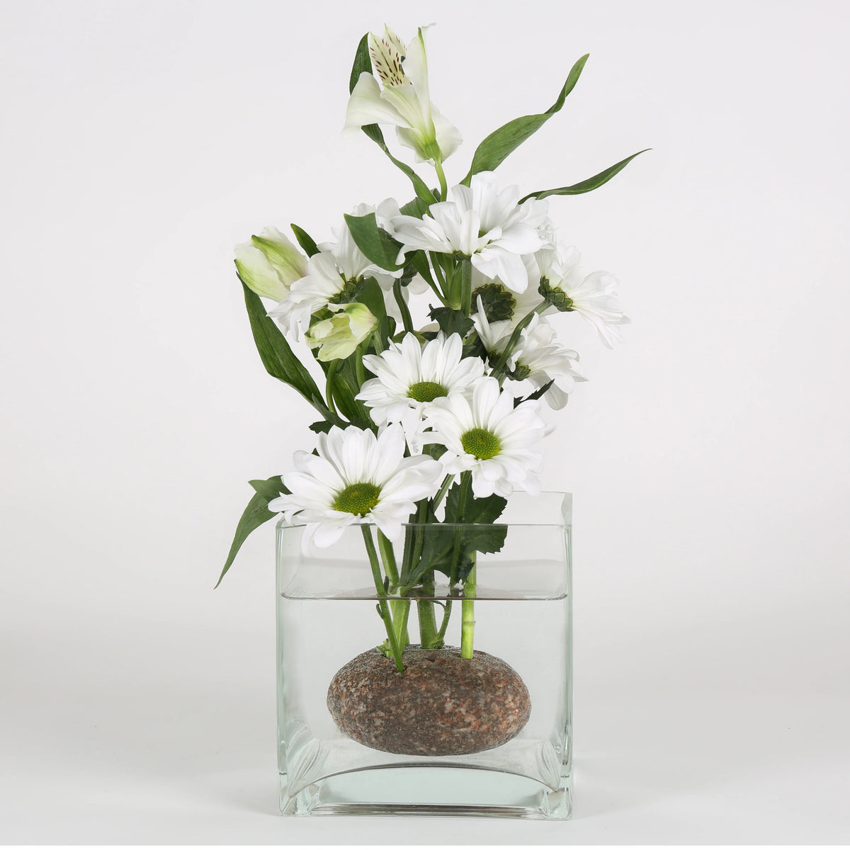 Stone Flower Frog