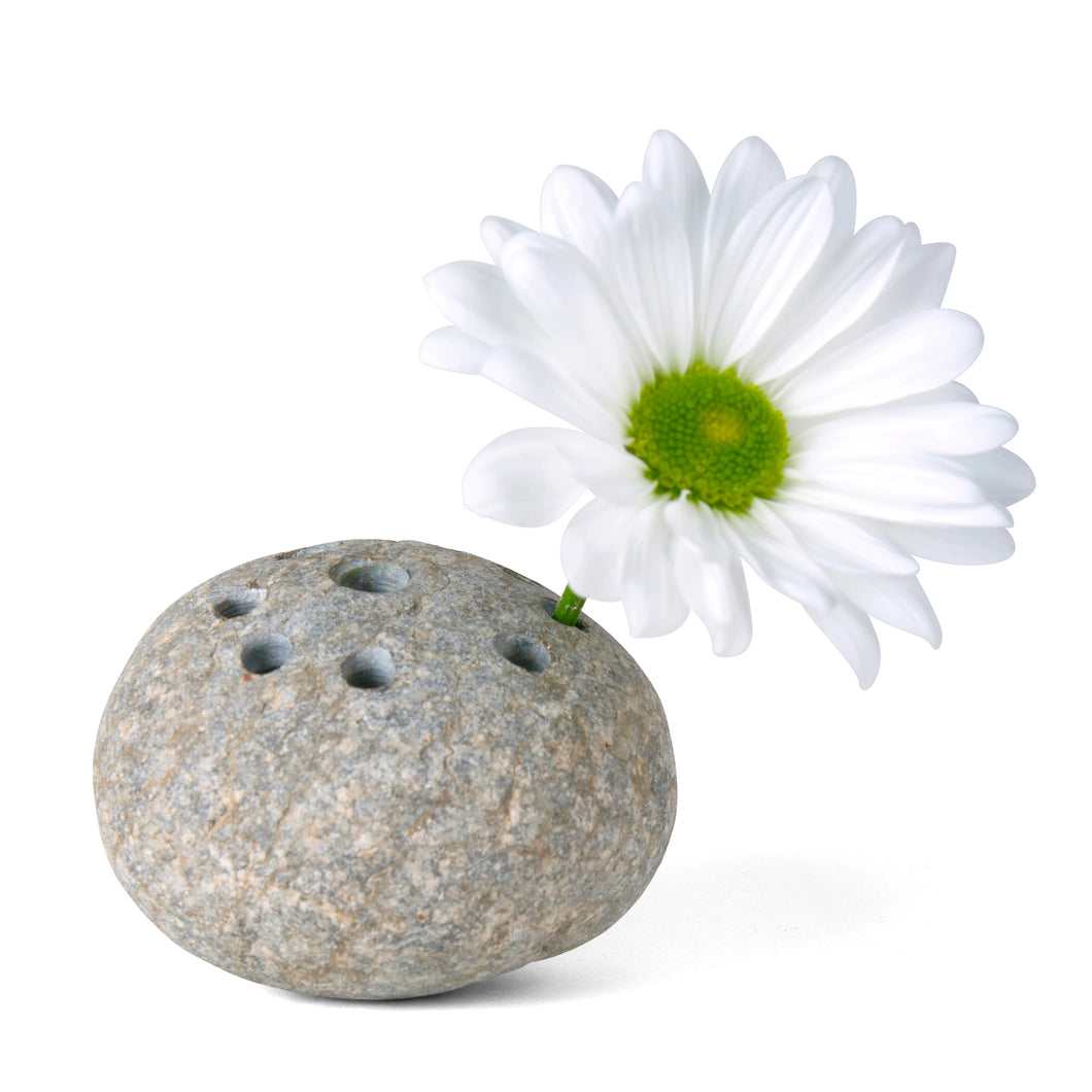 Stone Flower Frog