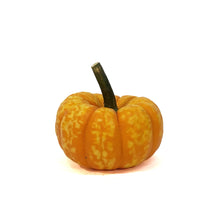 Load image into Gallery viewer, Mini Pumpkins
