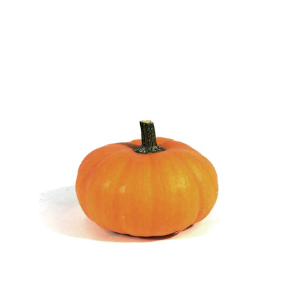 Mini Pumpkins
