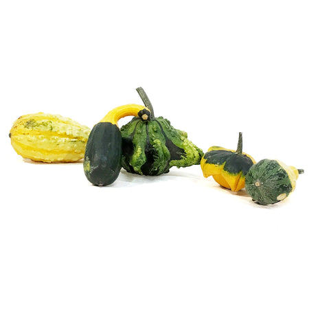 Gourds