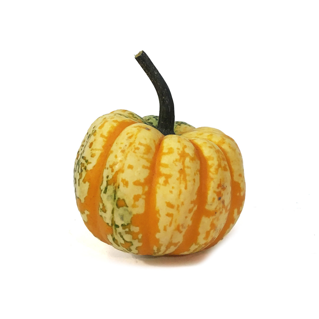 Squash, Assorted