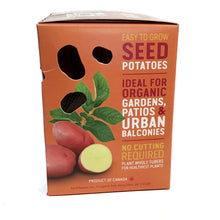 Load image into Gallery viewer, Seed Potato - Rosara, Earth Apples, 1kg Box
