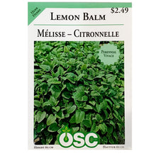 Load image into Gallery viewer, Lemon Balm Seeds, OSC
