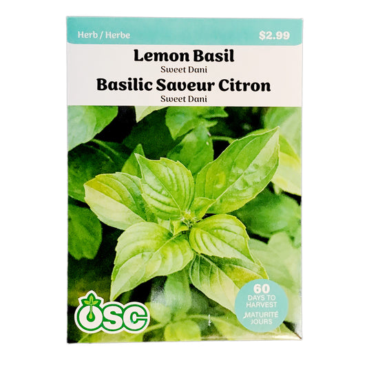 Basil - Sweet Dani (Lemon) Seeds, OSC