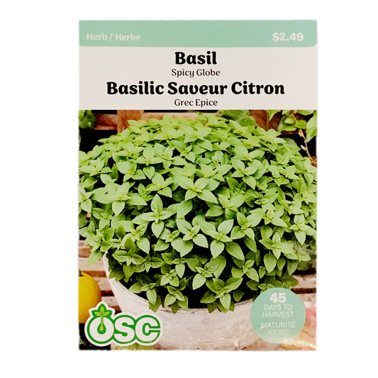 Basil - Spicy Globe Seeds, OSC