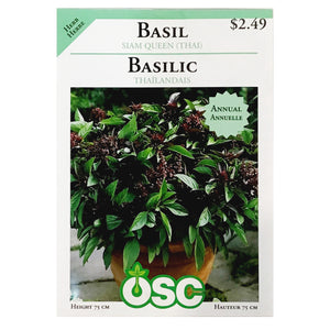 Basil - Siam Queen (Thai) Seeds, OSC