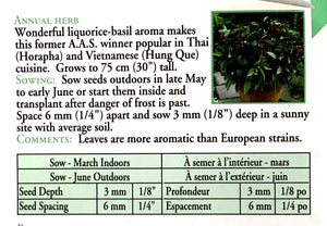 Basil - Siam Queen (Thai) Seeds, OSC