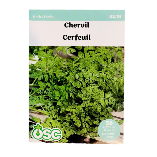 Chervil Seeds, OSC