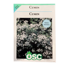 Load image into Gallery viewer, Cumin Seeds, OSC
