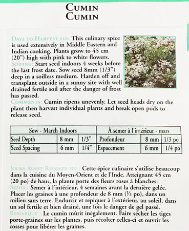 Cumin Seeds, OSC