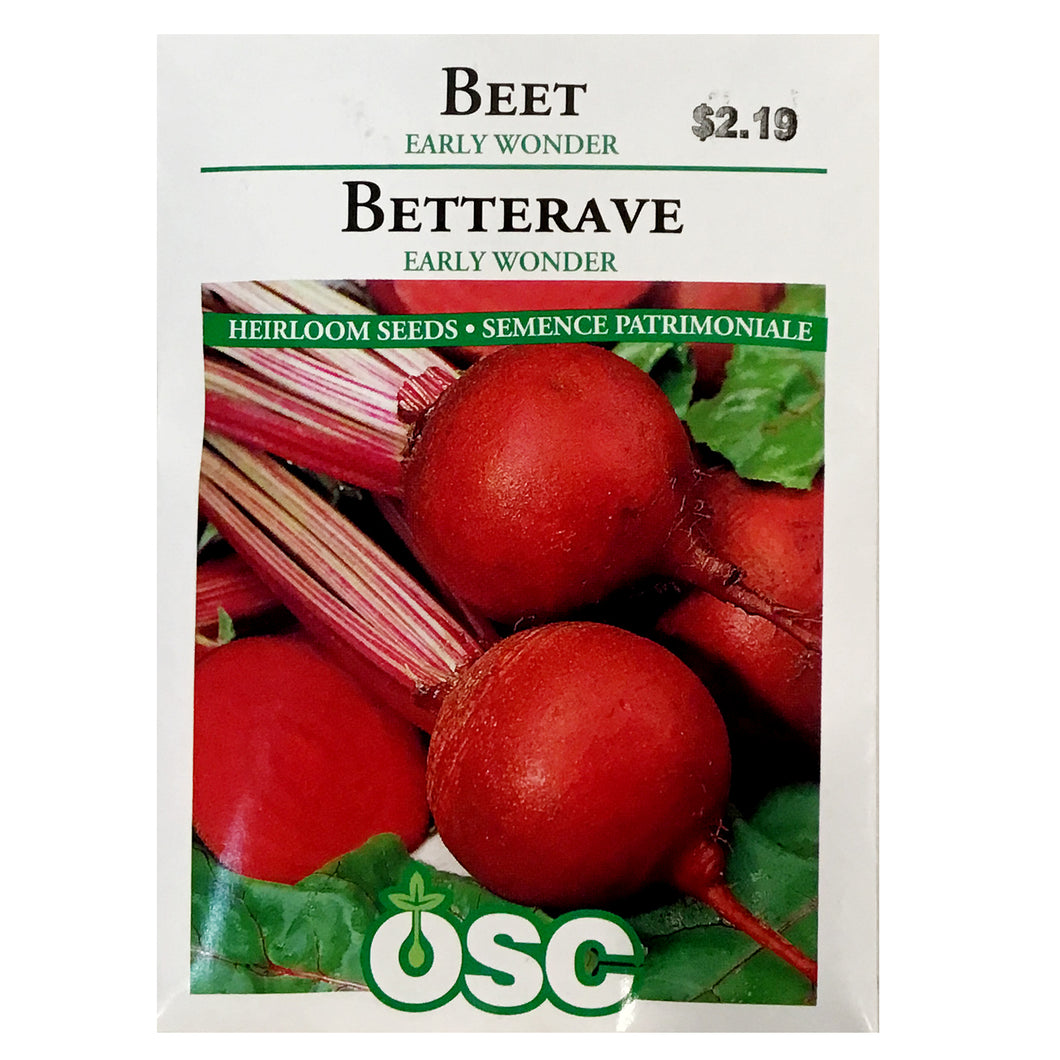 Beetroot - Early Wonder Seeds, OSC