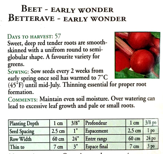 Beetroot - Early Wonder Seeds, OSC